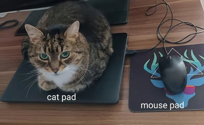 图片中一只虎斑猫正趴在黑色笔记本电脑上，绿色的眼睛直视镜头，表情专注又带着一丝警觉。猫咪下方标注着“cat pad”，而右侧带有蓝色鹿头图案的鼠标垫上放着一个黑色鼠标，鼠标垫下方则标注着“mouse pad”。通过将“mouse pad”（鼠标垫）中的“mouse”替换为“cat”，形成“cat pad”的双关语，幽默地将趴在电脑上的猫咪比作“猫垫”，展现了宠物与办公场景结合的趣味瞬间。