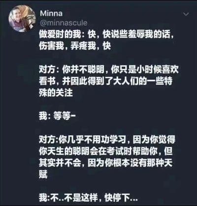 这是一张社交媒体截图梗图，展示了一个幽默的对话场景。图中用户Minna发布了一段虚构对话，一方要求在亲密行为中被羞辱，另一方却用关于智力和学习态度的尖锐批评来回应，形成了有趣的反差效果。