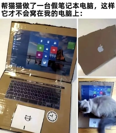 这是一张多图拼接的趣味生活图片，上方配有文字“帮猫猫做了一台假笔记本电脑，这样它才不会窝在我的电脑上：”。图片分为三个展示区域：左上区域展示了用硬纸板制作的仿苹果笔记本电脑，外壳为棕色纸板，屏幕部分贴有Windows系统界面的打印图，键盘区域是打印的键盘贴纸，触控板位置画有小猫图案，还贴有一个时钟贴纸；右上区域是假电脑的背面，粘贴了苹果品牌的logo；右下区域则是一只灰白相间的猫咪正趴在这台假笔记本电脑的键盘位置，显然被这个仿制品吸引，成功不再占用主人的真电脑。整个创意是主人为解决猫咪喜欢霸占工作电脑的问题，动手制作仿真笔记本转移猫咪注意力，充满生活趣味与巧思。