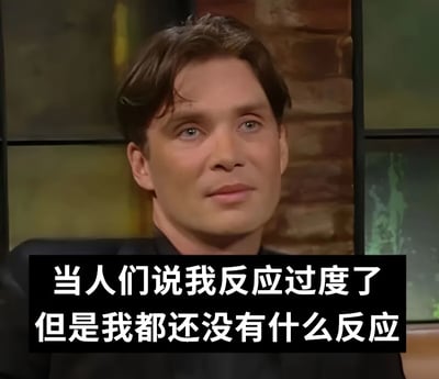 图片中是一位表情平静的男性，背景是砖墙。图片下方有一行文字：'当人们说我反应过度了 但是我都还没有什么反应'，通过人物平静的表情和文字内容形成幽默对比，表达了一种被误解的无奈情绪。