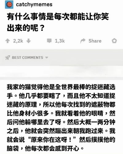 这是一张社交媒体截图，展示了一个名为"catchymemes"的账号发布的内容。帖子顶部有一个问题："有什么事情是每次都能让你笑出来的呢？"，下方显示有2.2k点赞和1.3k评论。最佳评论讲述了一只自以为擅长捉迷藏的猫，它总是选择比自己身材小很多的遮蔽物，主人会配合假装找不到它，等猫跳出来后摸摸它的脑袋让它开心的温馨搞笑故事。