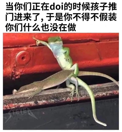 这张梗图上方是黑色文字："当你们正在doi的时候孩子推门进来了，于是你不得不假装你们什么也没在做"。下方是一张照片，显示两只蜥蜴处于尴尬的姿势，一只绿色蜥蜴站立着，一只前爪搭在红色物体上，另一只棕色蜥蜴在其下方，整体画面幽默地表现了被打断的尴尬场景。