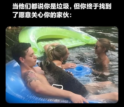 图片上方有白色文字："当他们都说你是垃圾，但你终于找到了愿意关心你的家伙："。图片主体是一个纹身男性躺在蓝色充气筏上，一只浣熊趴在他的胸前，旁边有两位女性在水中，背景有一个绿色的鳄鱼形状充气筏。整体营造出一种即使被他人贬低，也能找到真正关心自己的对象的温馨幽默氛围。