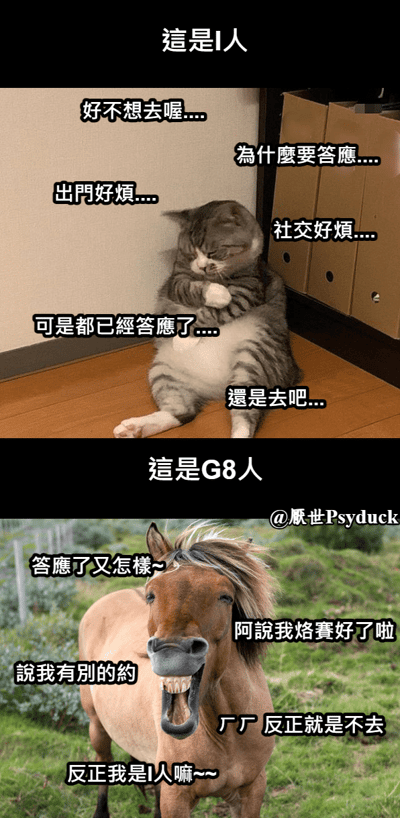 该梗图为上下对比结构，通过动物形象幽默展现两种社交回避态度。上半部分「这是I人」以一只蜷缩在地的猫为主体，周围环绕「好不想去喔...」「为什么要答应...」「出门好烦...」「社交好烦...」等内心独白，生动刻画了I人（内向者）虽不情愿但因已答应而被迫社交的纠结与无奈；下半部分「这是G8人」则以一只咧嘴坏笑的马为主体，配文「答应了又怎样~」「阿说我烙赛好了啦」「反正就是不去」，展现出用借口逃避社交的「摆烂」式态度，最后一句「反正我是I人嘛~」形成反差萌。