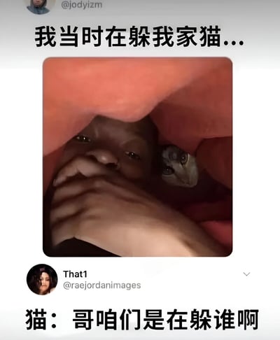 这张图片展示了一个搞笑场景：一个人试图躲在毯子下躲避自己的猫，只露出两只眼睛和一只手捂住嘴。然而猫也跟着钻进了毯子，从旁边探出头来，配上文字"猫：哥咱们是在躲谁啊"，形成了幽默的反差效果。