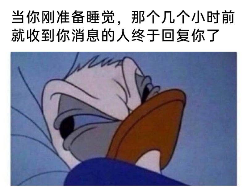 迪士尼唐老鸭系列动画