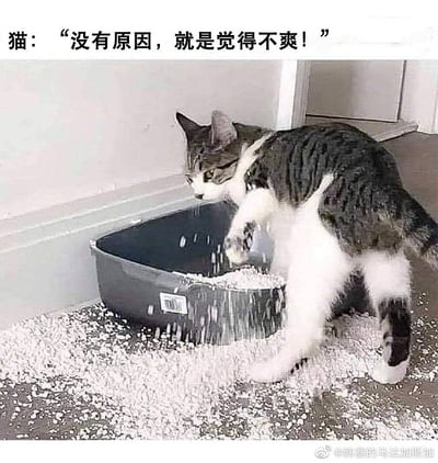 一只灰白相间的猫咪正站在被打翻的猫砂盆旁，用爪子拨弄着散落一地的猫砂。猫砂盆倾斜，大量猫砂洒落在地板上，猫咪表情专注，似乎对自己的行为毫不在意。图片上方配有猫咪的拟人化对白：“没有原因，就是觉得不爽！”，通过将猫咪打翻猫砂盆的调皮行为赋予人类“无故不爽”的情绪，营造出幽默搞笑的效果，生动展现了宠物偶尔任性的一面。