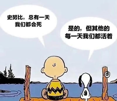 漫画中，查理布朗和史努比坐在水边的码头上，背景是平静的水面和远处的小景物。查理布朗背对着读者，穿着黄色带黑色锯齿图案的上衣，光头后脑勺清晰可见；史努比则是经典的白色小狗形象，同样背对着读者坐在查理布朗旁边。查理布朗的对白气泡中写着：“史努比，总有一天我们都会死”，史努比的气泡回应：“是的，但其他的每一天我们都活着”。画面通过简单的对话传递出关于生命与死亡的哲思，氛围平静而治愈。