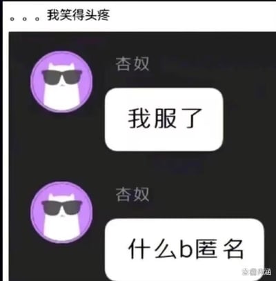 这是一张聊天记录截图，顶部有评论“。。。我笑得头疼”，聊天界面中，头像是戴墨镜的卡通白猫的用户“杏奴”，先后发送了“我服了”和“什么b匿名”两句话。显然是用户使用平台的匿名功能时，自己的账号名称并没有被隐藏，匿名功能失效，这种预期之外的bug带来了反差感，显得十分搞笑，也传递出用户的无奈情绪。
