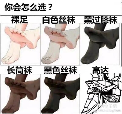 这是一张六格的多图拼接趣味梗图，顶部配有提问文字“你会怎么选？”。前五格依次展示了五种动漫风格的脚部状态：裸足、白色丝袜、黑过膝袜、长筒袜、黑色丝袜，均呈现脚部交叉摆放的画面，属于二次元爱好者关注的常见内容；第六格则是反差感拉满的高达机甲线稿图，机甲摆出了类似脚部交叉的姿势。这张图通过设置五个常规的袜类相关选项，再搭配一个完全不相关的高达选项，用打破常规选择逻辑的方式制造出强烈的幽默反差，是网络上典型的整活类趣味内容，主要面向二次元爱好者群体，以此引发笑点和互动。