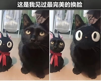 图片为左右对比图，左侧展示一只真实黑猫与一个戴粉色蝴蝶结、系红丝带的玩具黑猫并排放置，真实黑猫眼睛为正常黄色；右侧则将真实黑猫的面部替换为玩具猫的夸张大眼睛，形成高度匹配的搞笑效果。顶部文字标注“这是我见过最完美的换脸”，整体通过面部替换制造幽默反差。