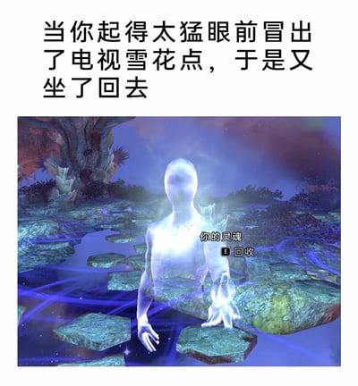 这是一张搞笑梗图，采用图文结合的形式，上方配文描述了现实生活中猛地起身时，眼前出现类似电视雪花的眩晕感，于是坐回去的日常经历；下方是游戏《上古卷轴Online》的截图，展示了玩家死亡后进入的灵魂形态界面，界面里有半透明的灵魂形象，还有“你的灵魂 E 回收”的操作提示。这张图将现实中起身过猛的眩晕恍惚感，夸张调侃成灵魂出窍、需要被回收的游戏场景，用游戏里的经典设定来放大日常小状况的搞笑感，制造出荒诞有趣的反差效果。