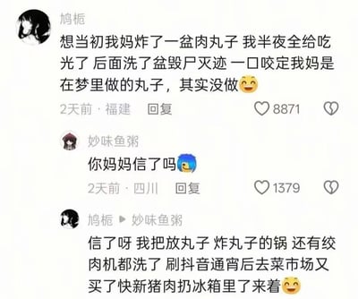 社交媒体聊天记录截图，展示用户“鸠栀”与“妙味鱼粥”的对话。鸠栀分享自己半夜偷吃妈妈炸的一盆肉丸后，通过清洗锅具、绞肉机，甚至买新猪肉来“毁尸灭迹”，并让妈妈相信肉丸是梦中做的趣事，对话充满搞笑和调侃意味。