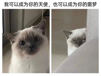 这是一张左右对比的猫咪表情包，左侧猫咪睁着圆溜溜的大眼睛，表情天真无邪，像个小天使；右侧同一只猫咪眯着眼睛，从墙角探出头，表情凶狠警惕，像个小恶魔。上方配有文字"我可以成为你的天使，也可以成为你的噩梦"，通过猫咪的两种极端表情形成鲜明对比，幽默地展现了猫咪性格的两面性。