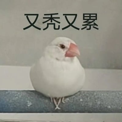 一只白色的小鸟站在灰色背景前，表情略显疲惫。图片上方配有黑色文字'又秃又累'，幽默地将小鸟的秃毛外观与人类感到疲惫的状态联系起来，形成一种自嘲式的幽默。