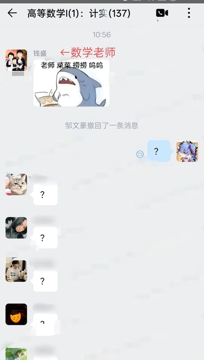 这是一张高等数学班级群聊的截图，群名称为'高等数学I(1): 计实(137)'。10:56时，用户'钱盛'发送了一张鲨鱼表情包，并配文'老师 菜菜 捞捞 呜呜'，用网络流行语向数学老师求助，表达自己数学不好希望老师手下留情的心情。随后，用户'邹文豪'撤回了一条消息，引发其他群成员纷纷发送问号表情回应，形成有趣的互动场景。
