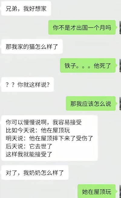 这是一张聊天记录截图，内容为刚出国一个月的用户和帮忙照看自己家事的朋友聊天：用户先说自己想家，询问家中猫的近况，朋友直接告知猫已经死了，用户不满这种直白的告知方式，要求朋友应该分阶段逐步告知坏消息，先铺垫说猫在屋顶玩，再告知摔落受伤，最后再说去世，自己才能接受。随后用户又询问自己奶奶的近况，朋友直接回复“她在屋顶玩”，用用户此前要求的话术形成意料之外的反转，笑点十足。
