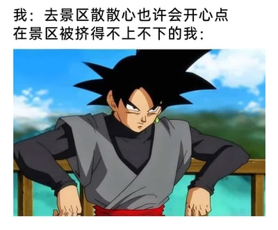 这是一张贴合大众生活经历的搞笑梗图，采用图文混排的形式。上方文字分为两部分，第一句是作者最初的期待：想去景区散散心来让自己开心；第二句则转折引出后续的糟糕体验：在景区被挤得上不去下不来。下方搭配了动漫《龙珠超》里黑悟空的截图，角色眉头紧皱、双手攥紧栏杆，愤怒烦躁的神态完美对应了在景区被挤到进退两难、心态濒临崩溃的状态，用动漫角色的强烈情绪放大了现实中被人群裹挟的糟糕体验，极易引发有过类似经历的人的共鸣。