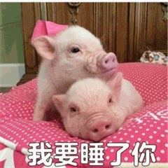 图片中两只粉嫩的小猪依偎在粉色带白色圆点的垫子上，其中一只小猪头顶戴着粉色蝴蝶结，眼神呆萌。图片底部有白色文字“我要睡了你”，整体营造出可爱温馨的氛围，文字内容为俏皮的表达，并非字面意思。