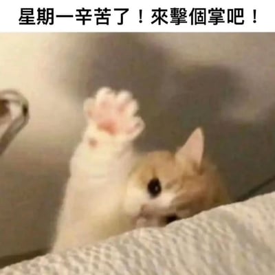 图片上方有文字'星期一辛苦了！來擊個掌吧！'，下方是一只橘白相间的猫咪正举起一只爪子，仿佛在与人击掌。猫咪表情温和，眼神专注，背景模糊，突出主体。这张图片通过可爱的猫咪形象和鼓励的文字，表达了对周一工作日的支持和鼓励，传递出积极治愈的情绪。