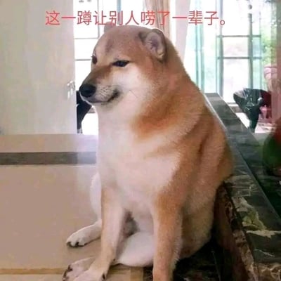 这是一张趣味静态梗图，主体是一只柴犬，它的身体一半坐在室内地面，另一半卡在大理石台面的边缘，摆出了十分尴尬的坐姿，柴犬的表情看起来无奈又窘迫，仿佛带着生无可恋的情绪。图片上方配有红色文字“这一蹲让别人唠了一辈子。”，用拟人的手法将柴犬的尴尬姿势类比为人类的社死瞬间，调侃那些因为一个尴尬举动而被反复提及、调侃的经历，整体风格搞笑幽默，容易引发网友对社死场景的共鸣。