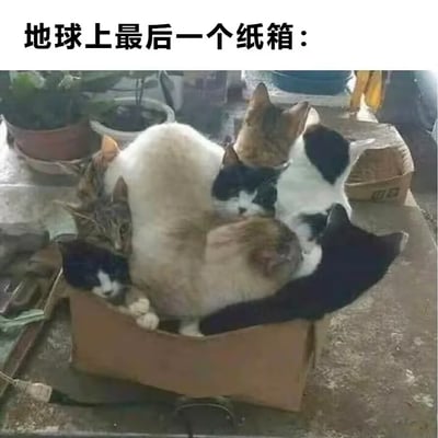 一张搞笑猫咪图片，展示了多只不同颜色的猫挤在一个普通的纸箱里。图片上方配有文字"地球上最后一个纸箱："，通过夸张手法幽默地表现了猫咪对纸箱的喜爱，仿佛这是世界上最后一个纸箱，所有猫咪都要争抢着挤进去。