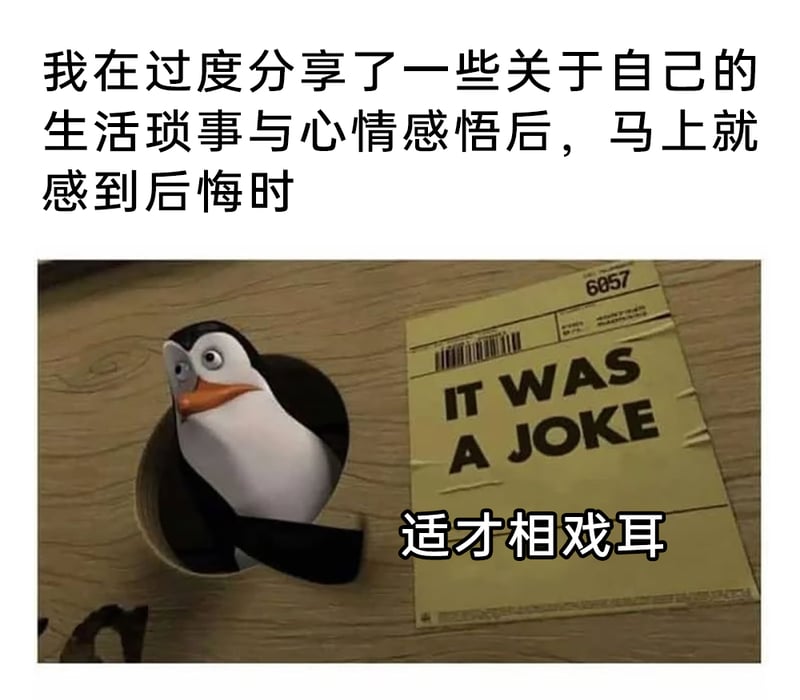马达加斯加的企鹅