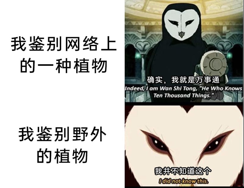 降世神通：最后的气宗