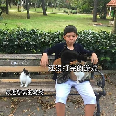 这是一张调侃游戏玩家心态的梗图，图中男孩坐在公园长椅上，腿上被多只猫咪紧紧环绕，对应配文“还没打完的游戏”，象征着未完成的游戏对玩家的牵绊，让玩家难以抽身；而长椅另一侧孤零零的小猫对应配文“最近想玩的游戏”，代表着新游戏对玩家的吸引。整个画面生动地展现了游戏玩家在未完成的游戏和新游戏之间的两难与纠结，用生活化的场景精准戳中游戏玩家的普遍心理。