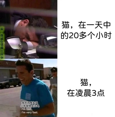 这是一张上下拼接的对比梗图，用两个反差极大的人物状态调侃猫咪的作息反差。上图是一名男性趴在桌上，配文“猫，在一天中的20多个小时”，还原猫咪一天里大部分时间都处于昏睡的状态；下图是该男性兴奋地奔跑，配文“猫，在凌晨3点”，并配有字幕“我尼玛疾如风 小爷我快如闪电”，生动展现猫咪在凌晨突然变得精力旺盛、上蹿下跳的真实模样，精准戳中养猫人的日常共鸣，充满搞笑效果。