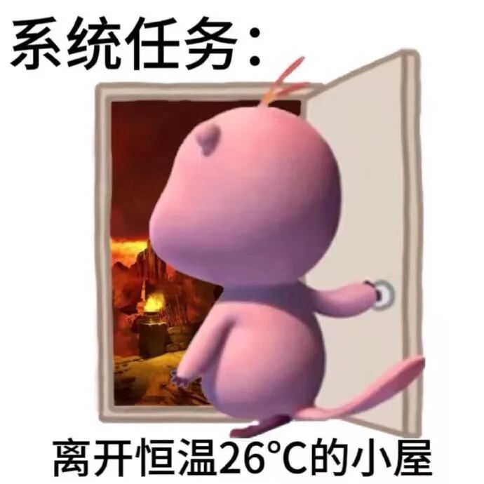 小福泥的日常