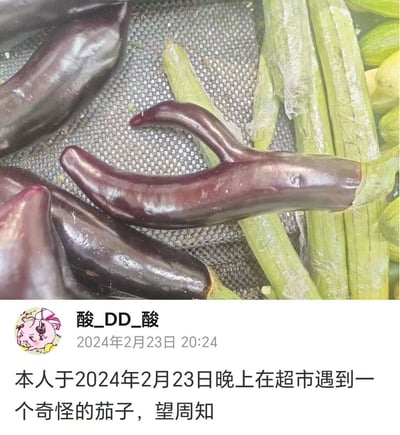 图片展示了超市蔬菜区的一幕，中心是一个造型奇特的紫色茄子，其末端自然弯曲形成类似钩子的形状，周围摆放着其他正常形态的茄子和绿色秋葵。下方配有社交媒体用户“酸_DD_酸”的发布内容，称于2024年2月23日晚在超市发现此特殊茄子并分享。画面聚焦于蔬菜的自然生长形态，无明显后期加工痕迹。