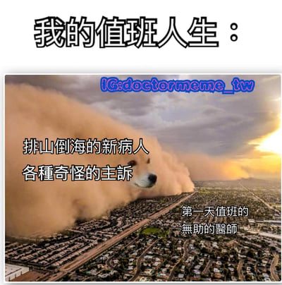 这张梗图用幽默的方式描绘了医生值班的艰辛。图片主体是一张巨大的沙尘暴席卷城市的照片，沙尘暴中被合成了一张狗的脸。图片上方有标题"我的值班人生："，中间文字写着"排山倒海的新病人 各種奇怪的主訴"，右下角文字为"第一天值班的 無助的醫師"。通过将大量病人比作席卷城市的沙尘暴，生动形象地表达了新医生面对值班时大量患者和各种奇怪症状时的无助感。