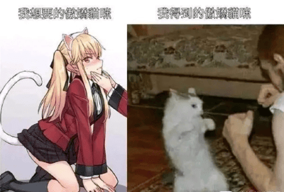 左侧为动漫风格的猫耳娘形象，金发双马尾，身着红色制服与黑色短裙，跪坐姿态单手托腮，眼神娇羞，展现理想中「傲娇猫咪」的萌系特质；右侧为真实生活场景，一只白猫站立后腿玩逗猫绳，动作活泼略显笨拙，与左侧精致动漫形象形成强烈反差，幽默呈现理想与现实中「傲娇猫咪」的差距。