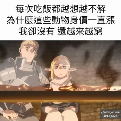 图片上方是黑色文字：'每次吃飯都越想越不解 為什麼這些動物身價一直漲 我卻沒有 還越來越窮'，下方是动漫场景截图，展示了一位穿着盔甲的男性和一位精灵女性坐在桌前，面前摆放着食物，两人表情困惑地看着食物，背景是石墙。整体表达了对物价上涨而自身经济状况下滑的无奈与疑惑。