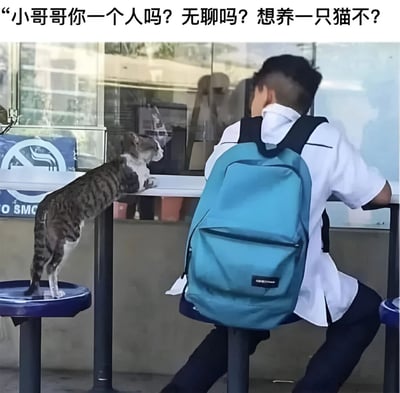 图片中一只虎斑猫站在蓝色圆凳上，前爪搭在户外餐桌边缘，正扭头望向独自坐在桌前的男孩。男孩穿着白色衬衫，背着蓝色背包，背对着镜头。图片顶部配有文字“小哥哥你一个人吗？无聊吗？想养一只猫不？”，将猫咪拟人化，仿佛在主动搭讪男孩询问是否想领养自己，营造出幽默可爱的场景。