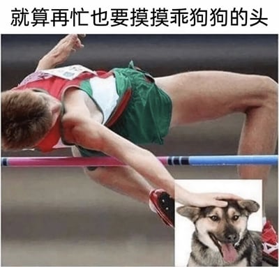 这是一张经过创意P图合成的搞笑梗图，主体素材是一位正在进行背越式跳高的田径运动员，网友将运动员的手部位置与一张吐舌微笑的狗狗图片进行合成，营造出运动员在忙碌的跳高瞬间也要伸手摸狗狗头的效果。图片顶部配有文字“就算再忙也要摸摸乖狗狗的头”，通过这种反差感十足的创意合成，传递出无论多忙碌都渴望撸狗治愈的可爱心态，充满趣味和治愈感。