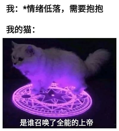 图片上方文字显示“我：*情绪低落，需要抱抱”，表达主人希望获得安慰的心情；下方“我的猫：”后是一张白色猫咪站在紫色发光魔法阵上的照片，猫咪下方配有文字“是谁召唤了全能的上帝”。通过幽默对比，展现主人需要安慰时，猫咪却仿佛化身为被召唤的“全能上帝”的搞笑场景，突出宠物与主人互动中的趣味反差。