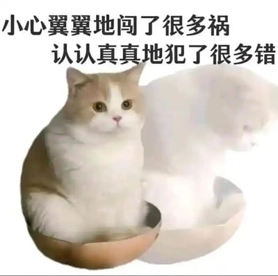 这是一张经过P图改编的静态图文混排表情包，画面主体是一只橘白相间的胖猫咪，端坐在一个尺寸明显小于它的小碗中，猫咪睁着圆溜溜的眼睛，眼神无辜又带着些许忐忑。在猫咪的右侧，还有一个半透明的猫咪虚影，呈现出低头的姿态，仿佛在懊恼。图片上方配有两行黑色文字：“小心翼翼地闯了很多祸 认认真真地犯了很多错”，用充满反差感的表述，结合猫咪无辜的神态，精准传递出一种自嘲的情绪——明明已经很谨慎，却还是接连出错，适合在聊天中用来表达自己犯错后的无奈、懊恼与自嘲心情，能以可爱的方式消解犯错后的尴尬氛围。