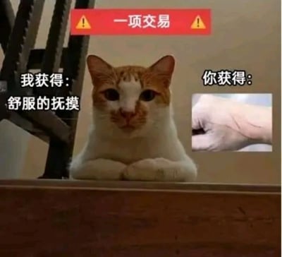 图片中是一只橘白相间的猫咪，爪子交叉趴在表面上，表情严肃。图片顶部有一个红色横幅，上面写着“一项交易”并配有黄色警告图标。猫咪左侧文字为“我获得：舒服的抚摸”，右侧文字为“你获得：”，旁边配有一张手部特写小图，手上有明显的抓痕。整体通过猫咪视角的“交易”对比，幽默展现了猫咪享受抚摸时可能给主人带来抓伤的有趣场景，突出宠物互动中的反差萌。