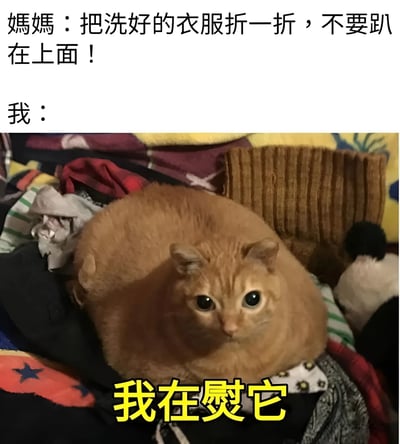 图片上方是妈妈的指令“把洗好的衣服折一折，不要趴在上面！”，下方是一只圆滚滚的橘猫趴在一堆色彩斑斓的衣服上，眼神无辜地望着镜头，图片底部配有黄色文字“我在熨它”。通过谐音梗制造笑点，“熨”与“压”发音相近，将猫咪趴在衣服上的行为幽默解读为“熨衣服”，展现了孩子面对家长指令时的俏皮回应。
