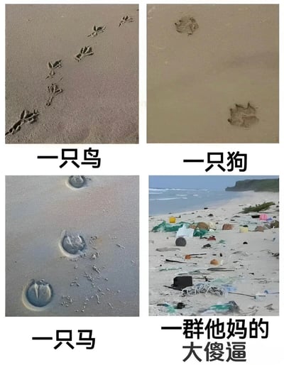 这是一张2x2网格布局的对比图，通过展示动物足迹与人类垃圾的鲜明对比，表达对环境污染的批判。左上角图片显示沙滩上的鸟爪印，下方标注"一只鸟"；右上角图片显示沙滩上的狗爪印，下方标注"一只狗"；左下角图片显示沙滩上的马蹄印，下方标注"一只马"；右下角图片则显示布满塑料瓶、包装袋等各种垃圾的海滩，下方标注"一群他妈的大傻逼"。通过这种强烈的视觉对比，讽刺了人类活动对自然环境造成的污染。