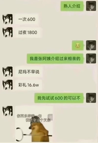 这是一张聊天记录截图梗图，展示了一场因误会引发的搞笑对话。绿色气泡用户表示是张阿姨介绍来相亲的，而白色气泡用户起初回复"一次600"、"过夜1800"，让人误以为是提供有偿服务。得知是相亲后，白色气泡用户改口说"彩礼16.6w"，而绿色气泡用户则调侃"我先试试600的可以不"，最后白色气泡用户用一张狗拿叉子的图片威胁"你再多哔哔一句 我就拿这个叉你"。
