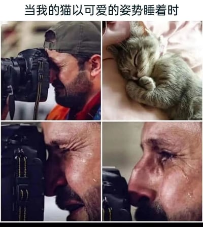 图片上方配有文字“当我的猫以可爱的姿势睡着时”，下方为2x2网格的四格拼接图。左上和左下、右下三图展示一名戴帽男子手持相机，面部表情激动，眼眶湿润，似在专注拍摄；右上则是一只灰色条纹小猫蜷缩在人肩上熟睡，姿态乖巧可爱。通过男子夸张的感动神情与猫咪的萌态形成对比，幽默展现宠物主人看到爱宠可爱瞬间时的强烈喜爱之情。