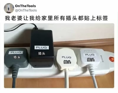 一则幽默帖子，用户被老婆要求给家里所有插头贴标签，结果他将每个插头都简单标记为英文'PLUG'和中文'插头'，形成了对指令的字面理解式搞笑误解。图片展示了一个插线板，上面多个插头都贴着相同标签，突出了这个笑话。