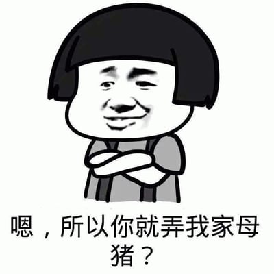 图片中是一个卡通风格的人物形象，有着黑色的齐耳短发（bob发型），面部表情呈现出略带戏谑的微笑，眼神中带有一丝疑问。人物双臂交叉于胸前，穿着简单的上衣。图片下方配有文字：“嗯，所以你就弄我家母猪？”，整体风格幽默，通常用于在聊天或社交媒体中以戏谑的方式对他人的行为提出疑问或调侃。