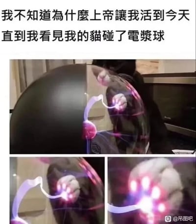 这是一张图文混排的多图拼接梗图，上方配有搞笑文案“我不知道为什么上帝让我活到今天，直到我看见我的猫碰了电浆球”，下方由三张实拍画面拼接而成，依次展示了猫咪用爪子触碰等离子球的场景，以及放大后的猫爪与等离子球电流接触的细节，等离子球的电流光线在猫爪上散开，视觉效果看起来十分有趣。文案用夸张的语气，表达出看到猫咪这个可爱又神奇的举动后，觉得这就是人生意义的搞笑情绪，通过日常宠物的趣味瞬间制造笑点，引发宠物爱好者的共鸣。