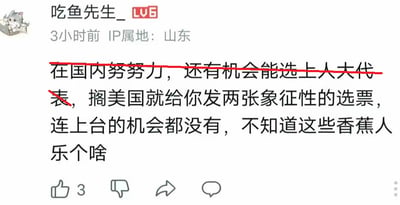 这是一张哔哩哔哩（B站）的用户评论截图，发布者为用户“吃鱼先生_”，账号等级为LV6，IP属地显示为山东，发布时间标注为3小时前。截图中的评论内容为发布者对比国内与美国的选举机制，称在国内努力有机会当选人大代表，而美国的选票仅具象征意义，普通人没有上台机会，同时对被称为“香蕉人”的群体的态度表示不解。评论里的部分文字被红色横线划掉，左上角配有一个坐着看书的卡通猫头像。