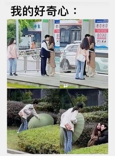 这是一张由四格真实场景照片拼接而成的梗图，顶部配文「我的好奇心：」，生动演绎了好奇心爆棚的状态：
1. 第一格：穿粉色上衣的女生站在一旁，注视着前方接吻的情侣；
2. 第二格：女生忍不住凑到情侣身边，近距离围观；
3. 第三格：女生来到户外的大伞状物体旁，伸手将其掀开；
4. 第四格：伞下居然也有一对正在接吻的情侣，完美呼应了女生被好奇心驱使的搞笑状态，充满趣味。