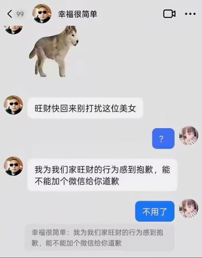 这是一张微信聊天界面截图类的搞笑网络梗图，昵称为“幸福很简单”的用户先向聊天对象发送了一张哈士奇站立的表情包，随后故意将表情包里的狗称作自家的“旺财”，虚构它打扰了对方的场景，声称要为旺财的行为道歉，以此为拙劣借口向对方索要微信，对方仅回复了问号和“不用了”直接拒绝，内容调侃了刻意又尴尬的土味搭讪套路，充满笑点。